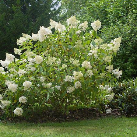 Les Rendzines Bed & Breakfast Nuisement-sur-Coole Luaran gambar