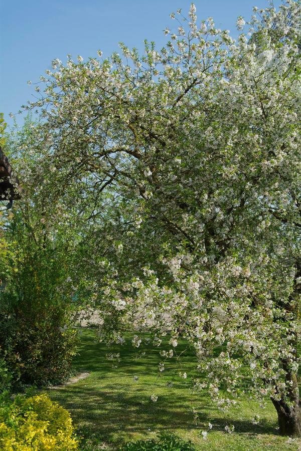 Les Rendzines Bed & Breakfast Nuisement-sur-Coole Luaran gambar
