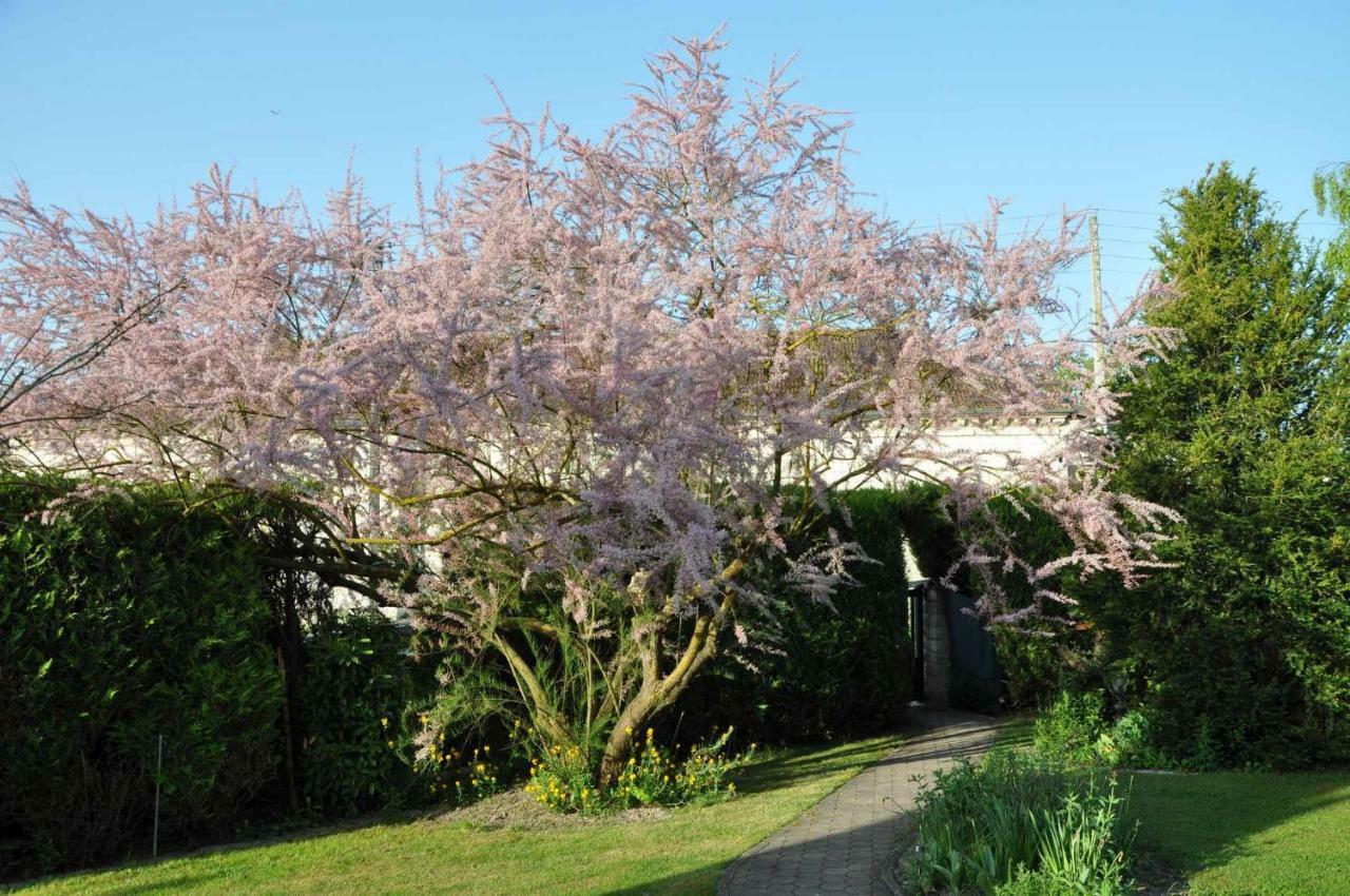 Les Rendzines Bed & Breakfast Nuisement-sur-Coole Luaran gambar